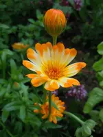 022.webp