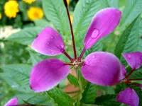 016.webp