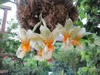 IMG_1005 - Kopie.webp
