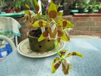 IMG_0976 - Kopie.webp