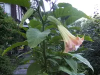 BILD0850.webp