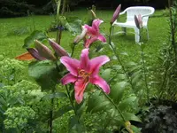 BILD0875.webp