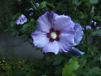 BILD0871.webp