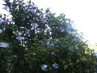BILD0853.webp