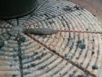 BILD0464.webp