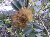 BILD0866.webp