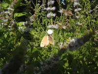 BILD0772.webp