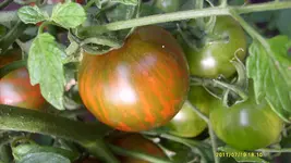 19.07 (43).webp