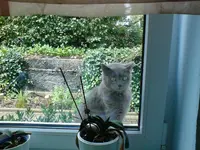 DSC00196.webp