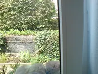 DSC00198.webp