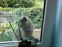 DSC00199.webp