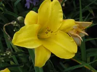 IMG_keine ahnung_1067x800.webp