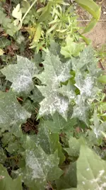 06072011119.webp