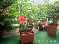 JD500581.webp