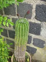 JD500582.webp