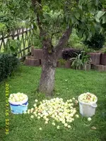 JD500587.webp