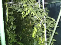 BILD2178.webp