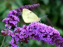 128.webp