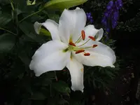 014.webp