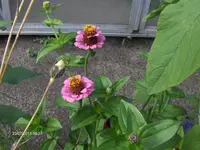 HPIM6583.webp