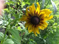 HPIM6580.webp