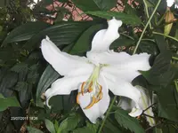 HPIM6579.webp