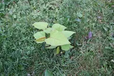 IMG_3685.webp