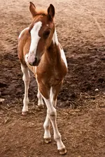 22.7.11 40D (3 von 18).webp