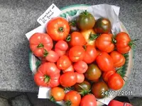 BILD0079.webp