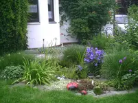 PIC00341.webp