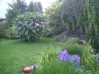 PIC00345.webp