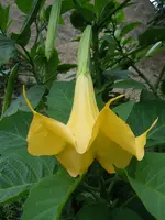 080.webp