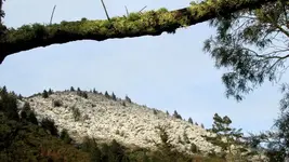 Schnee auf den Bergen (3).webp