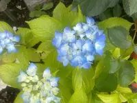 250720113308.webp