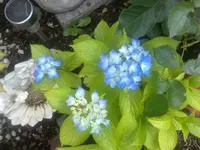 250720113309.webp