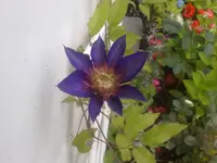 250720113311.webp