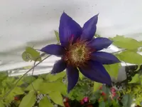 250720113312.webp