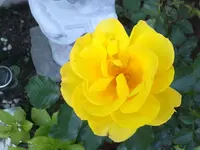 300620113040.webp