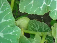 DSCN1980.webp