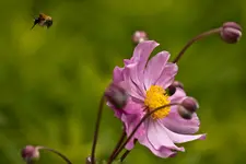 7D, 70-200L4 (70 von 96).webp