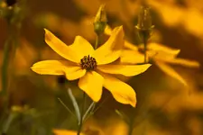 7D, 70-200L4 (60 von 96).webp