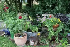 Gräfin und Wanne.webp