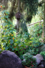 Steingarten.webp