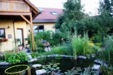 Teich (2).webp
