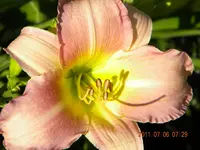 DSCN0535.webp