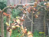 ALIM2286.webp