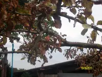 ALIM2287.webp