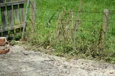 grillplatz distasterkl.webp