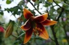 DSC05890.webp