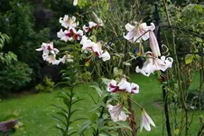 DSC05892.webp